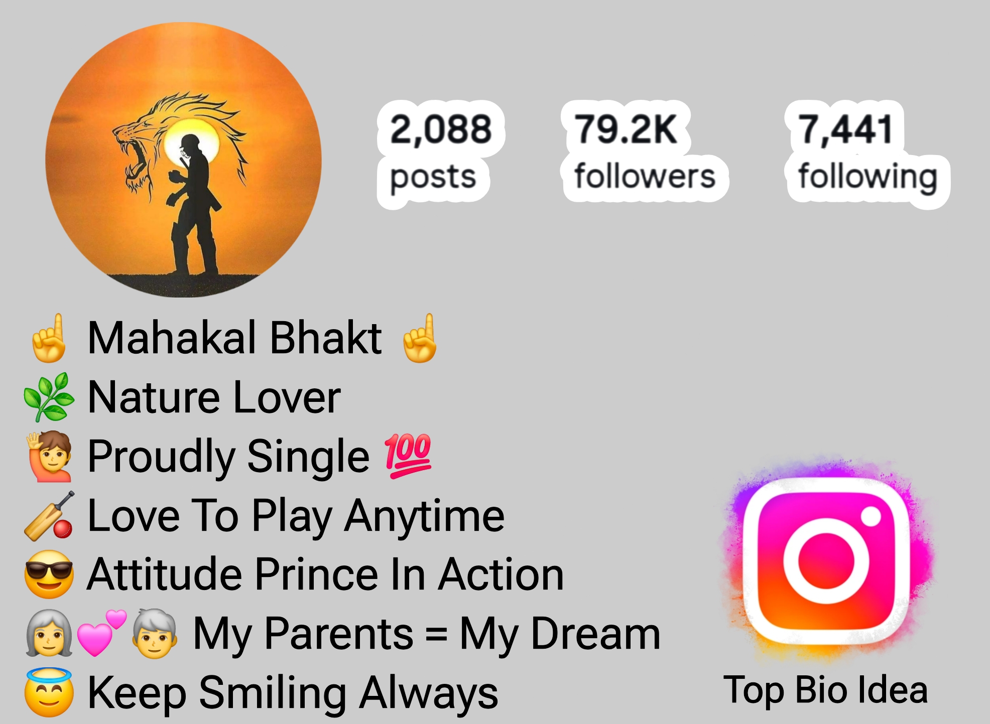 Instagram Bio For Cricket Lovers