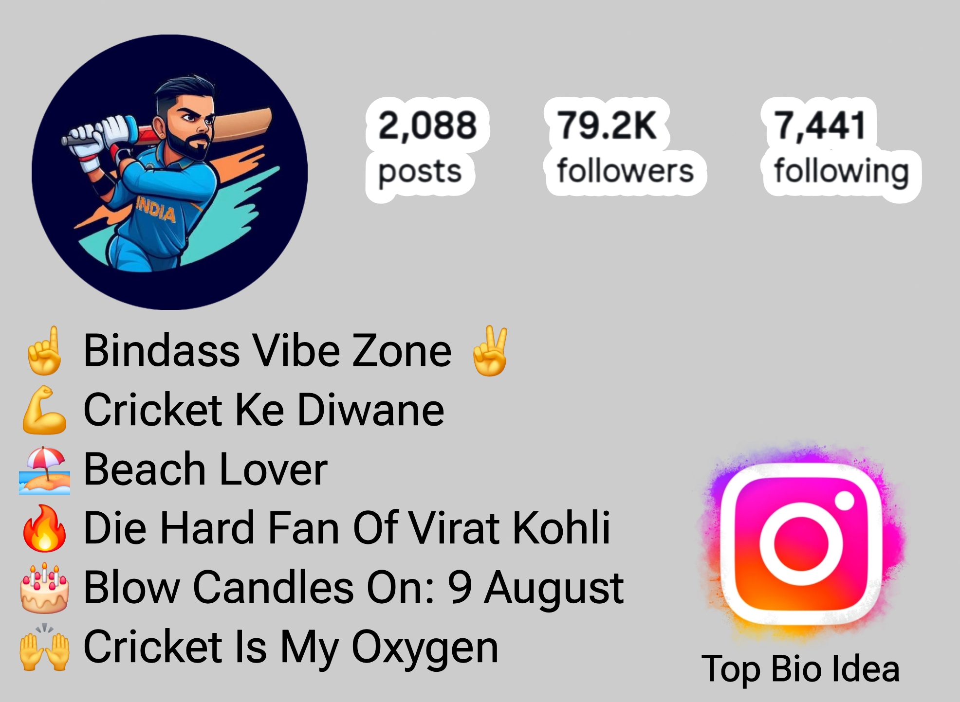 Instagram Bio For Cricket Lovers