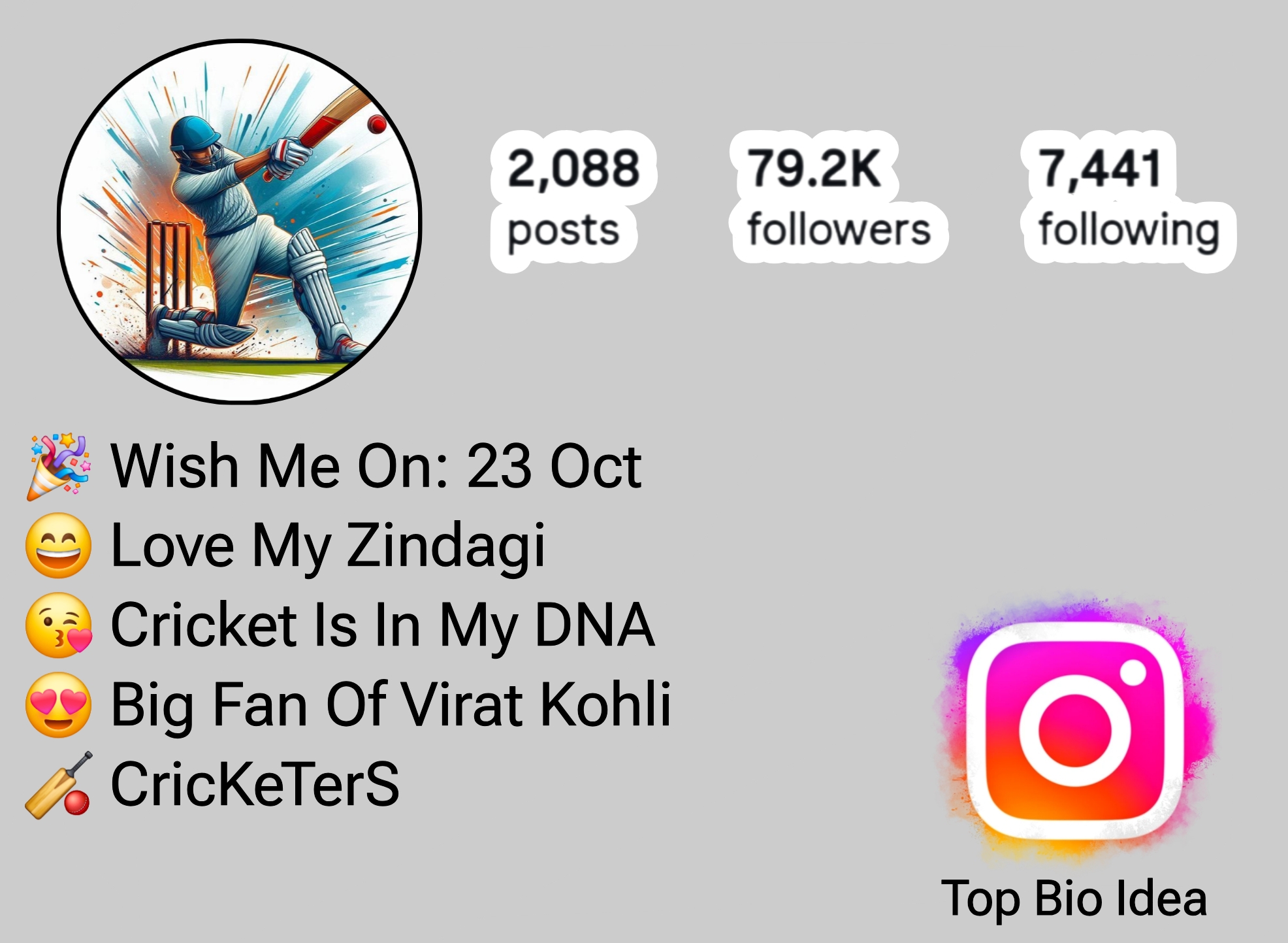 Instagram Bio For Cricket Lovers