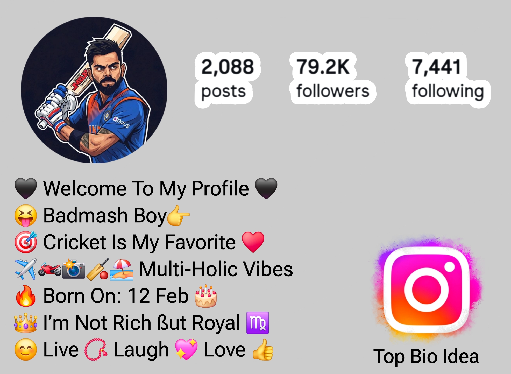 Instagram Bio For Cricket Lovers